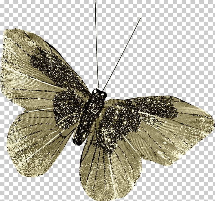 Nymphalidae Pieridae Butterflies And Moths .li PNG, Clipart, Arthropod, Brush Footed Butterfly, Butterflies And Moths, Butterfly, Insect Free PNG Download