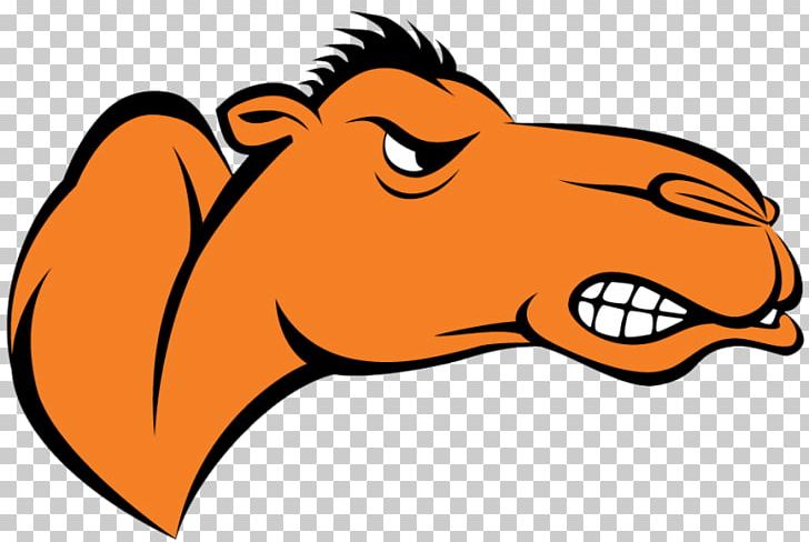 Campbell University Campbell Fighting Camels Women's Basketball Campbell Fighting Camels Men's Basketball Campbell Fighting Camels Football Division I (NCAA) PNG, Clipart,  Free PNG Download