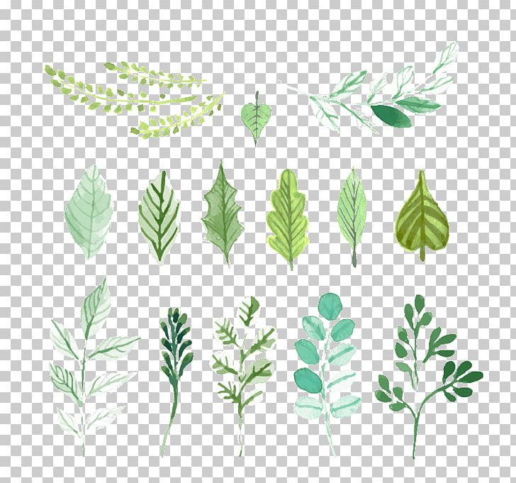 Leaf Green Painting PNG, Clipart, Autumn Leaves, Banana Leaves, Branch, Decoration, Drawing Free PNG Download
