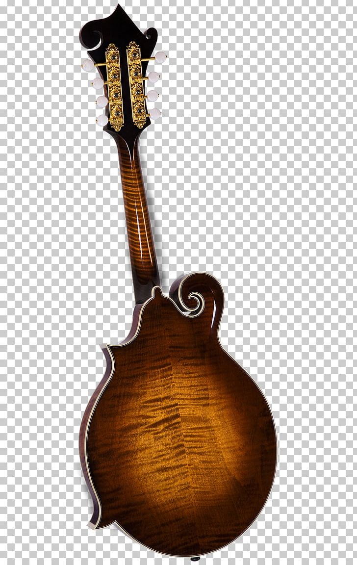 Mandolin Musical Instruments Acoustic-electric Guitar Tiple Amazon.com PNG, Clipart, Acoustic, Acousticelectric Guitar, Amazoncom, Bulgarian Folk Art, Electric Guitar Free PNG Download