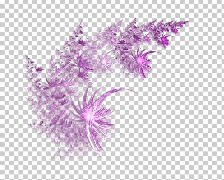 PhotoScape Graphics Software IBOXX EURO 3-5 RE. .net PNG, Clipart, Decoratie, Flower, Graphics Software, Lilac, Miscellaneous Free PNG Download