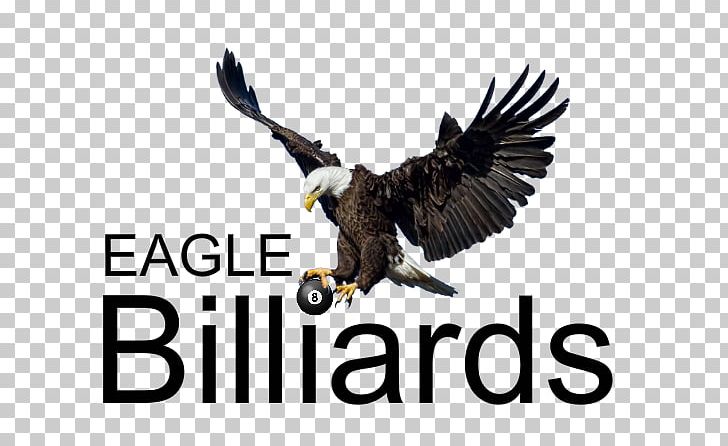 PicsArt Photo Studio Sticker Label Editing Brand PNG, Clipart, Accipitriformes, Advertising, Bald Eagle, Beak, Bird Free PNG Download