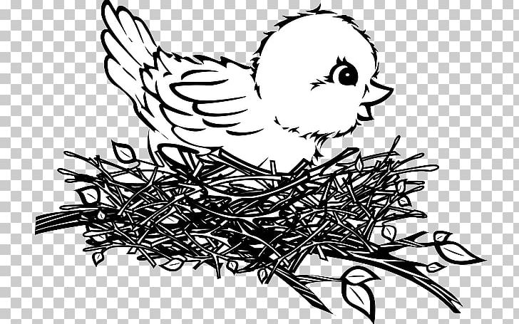 Bird Nest Drawing PNG, Clipart, Art, Artwork, Beak, Bird, Bird Nest Free PNG Download