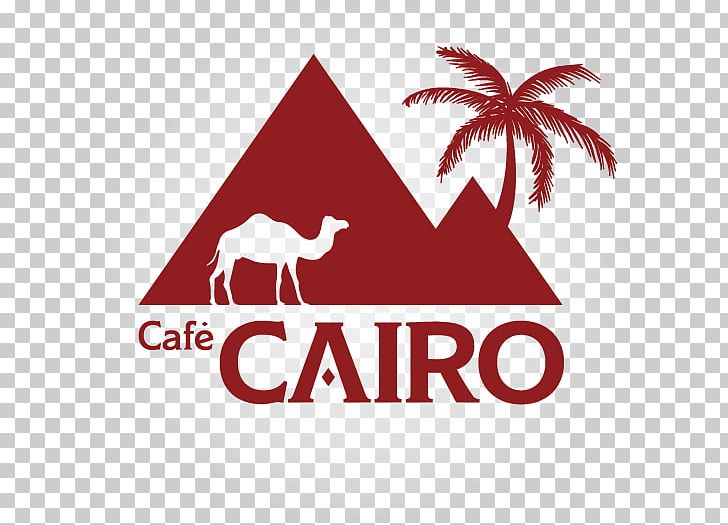 Café Cairo Dog Logo House PNG, Clipart, Animals, Area, Balcony, Bottle Service, Brand Free PNG Download