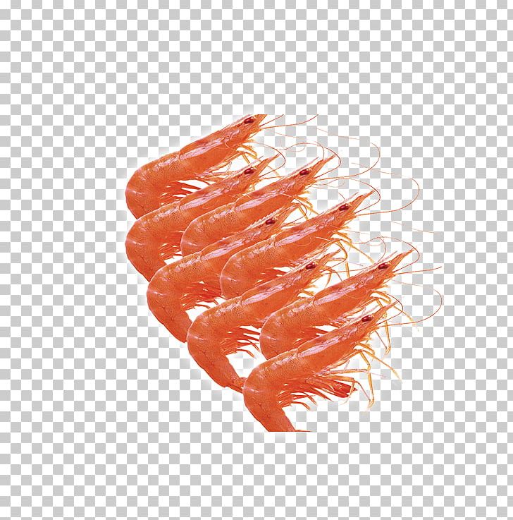 Caridea Giant Tiger Prawn Chinese White Shrimp PNG, Clipart, Animals, Animal Source Foods, Arthropod, Caridea, Carrot Free PNG Download