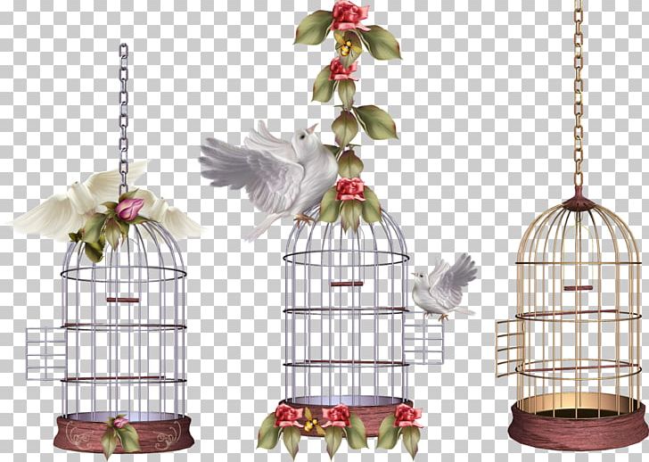 Lovebird Parrot Birdcage PNG, Clipart, Animals, Aviary, Bird, Bird Cage, Birdcage Free PNG Download