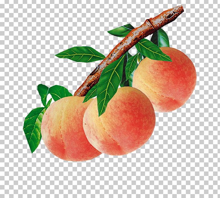 Peach Food Auglis PNG, Clipart, Apple, Apricot, Auglis, Blossom, Cooked Free PNG Download
