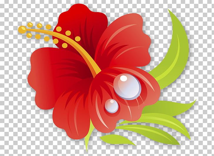 Petal Shoeblackplant Drawing Flower Hawaiian Hibiscus PNG, Clipart, Art, Computer Icons, Daisy Family, Drawing, Floral Design Free PNG Download