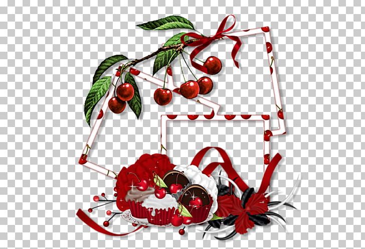 Photography Fruit Frames PNG, Clipart, August 7, Biscuits, Branch, Christmas, Christmas Decoration Free PNG Download