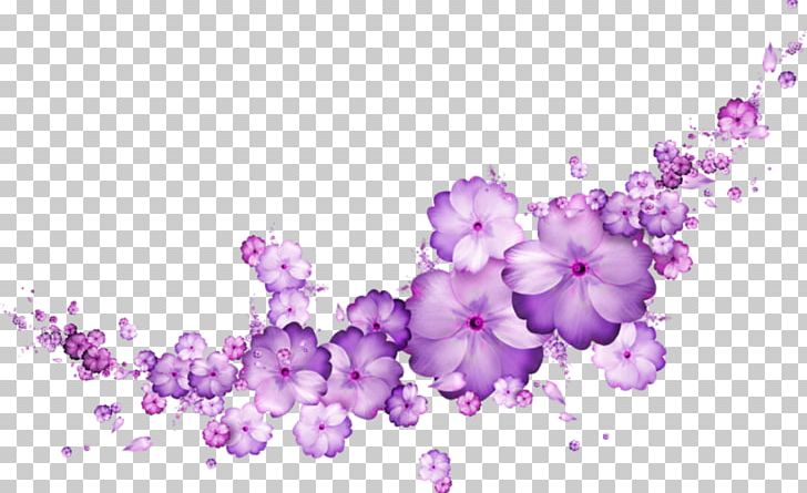 Violet Flower Mauve Blue Purple PNG, Clipart, Art, Blossom, Blue, Blue Rose, Branch Free PNG Download