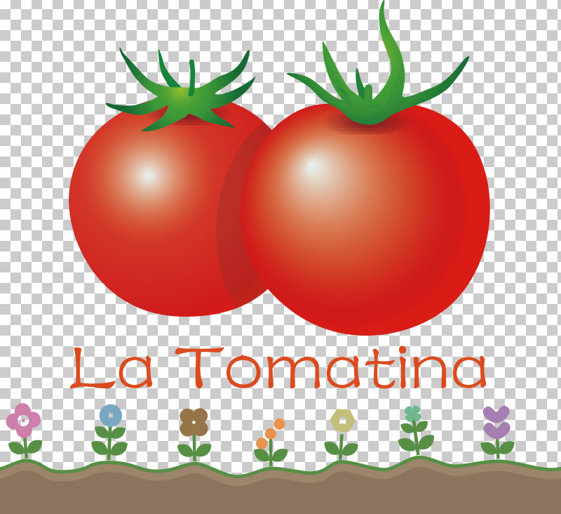 La Tomatina Tomato Throwing Festival PNG, Clipart, Apple, Bush Tomato, La Tomatina, Local Food, Natural Food Free PNG Download