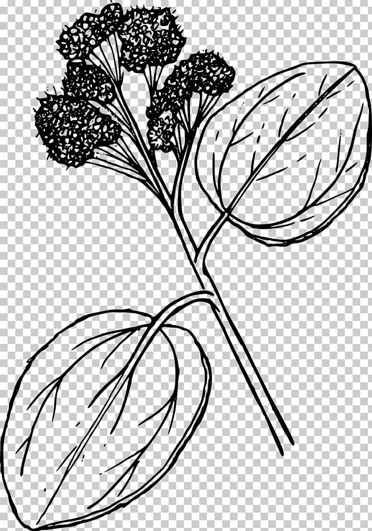 Computer Icons Floral Design PNG, Clipart, Artwork, Black And White, Branch, Bucket, Color Free PNG Download