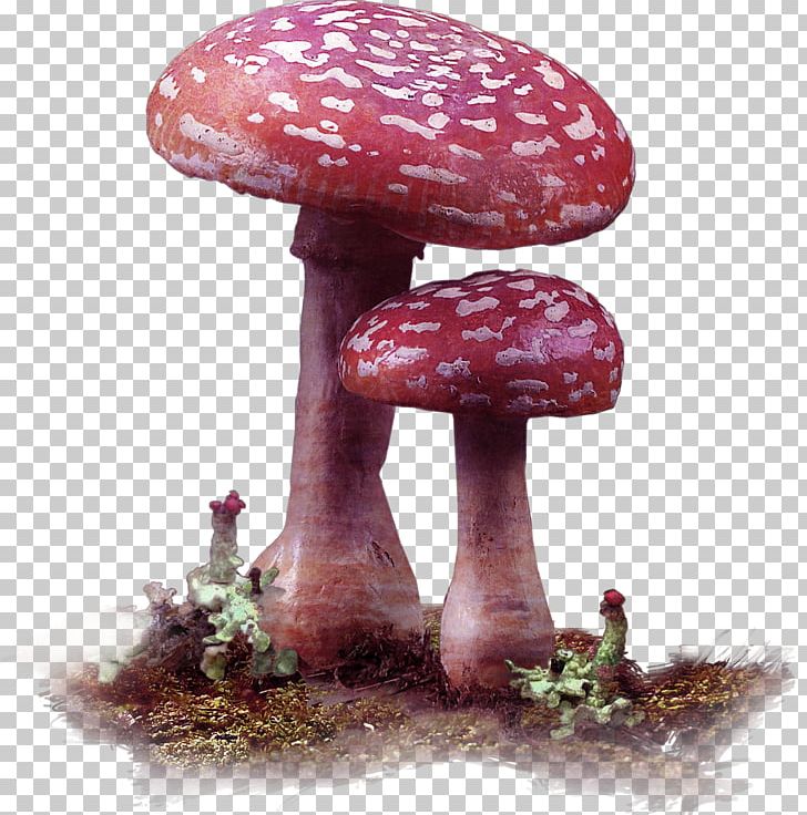Edible Mushroom Fungus PNG, Clipart, Agaric, Animation, Cartoon, Christmas Decoration, Decoration Free PNG Download
