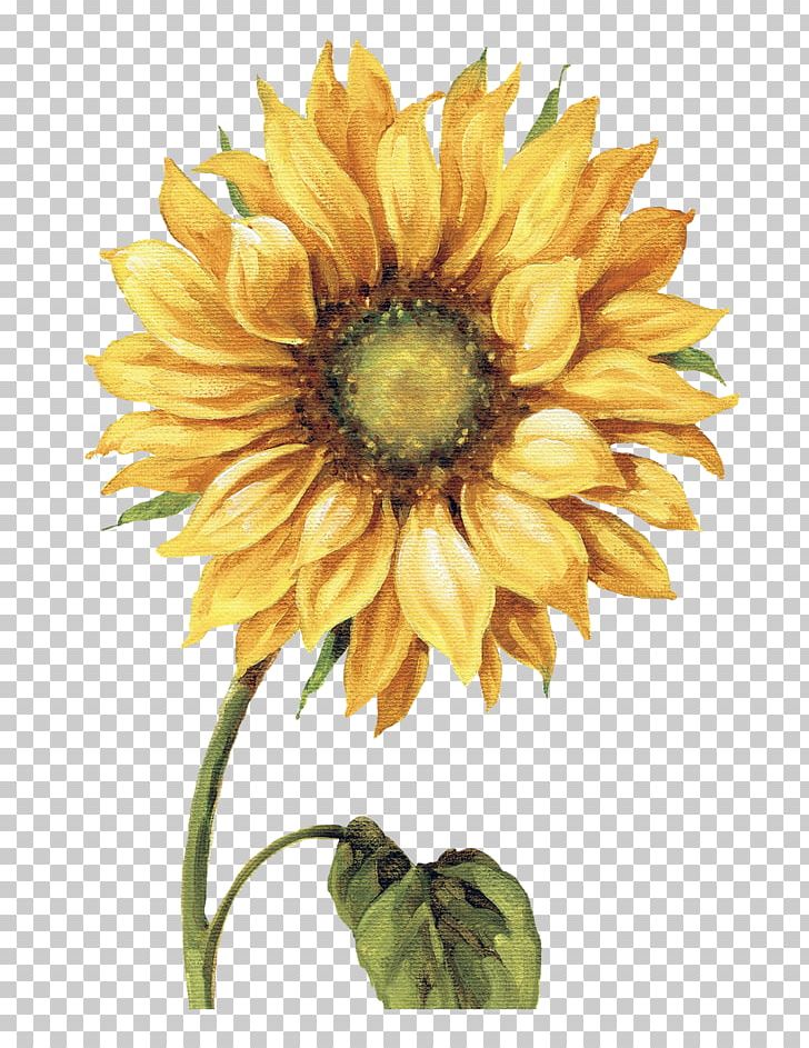 Work Of Art Drawing Common Sunflower Printmaking Painting PNG, Clipart, Allposterscom, Annual Plant, Art, Artist, Canvas Free PNG Download