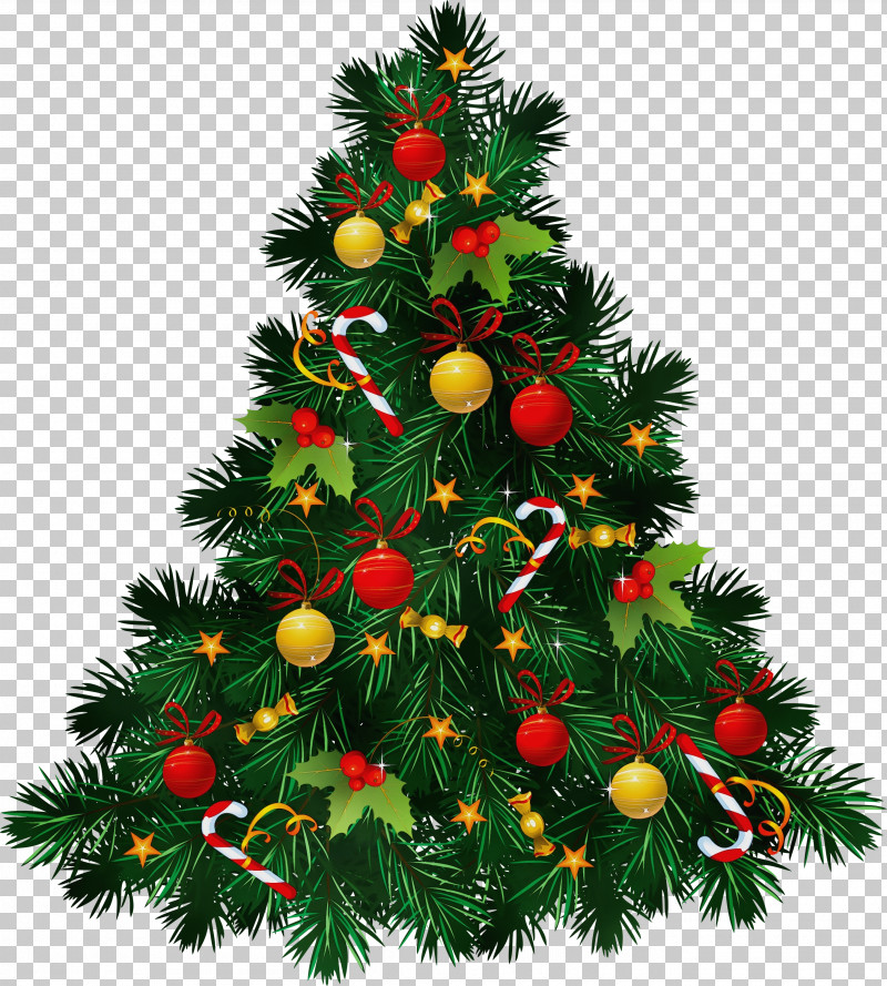 Christmas Tree PNG, Clipart, Christmas Card, Christmas Day, Christmas Lights, Christmas Ornament, Christmas Plants Free PNG Download