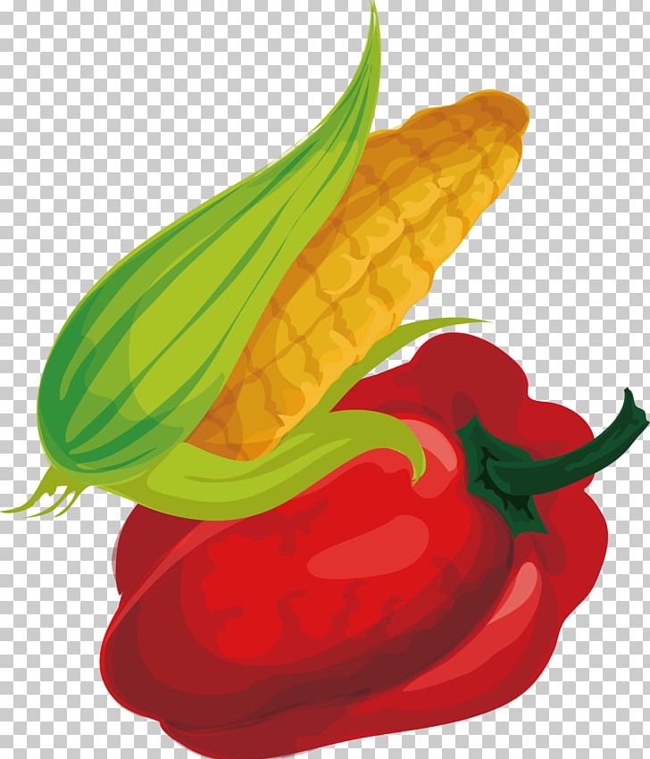 Chili Pepper Cartoon Maize Drawing PNG, Clipart, Bell Pepper, Cartoon, Chili Pepper, Corn, Creative Background Free PNG Download