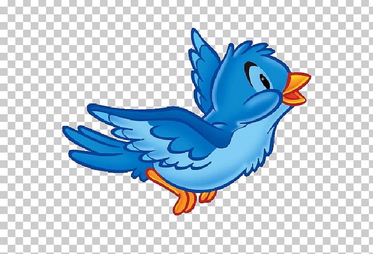 Eastern Bluebird PNG, Clipart, Animals, Animation, Beak, Bird, Bluebird Free PNG Download