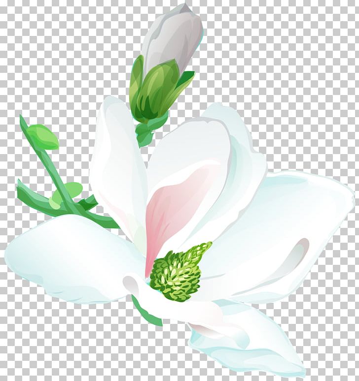 Pillow Petal Flower White Wedding Dress PNG, Clipart, Alkhaburah Club, Bud, Cotton, Couch, Cushion Free PNG Download