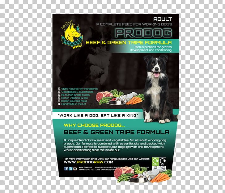 Raw Foodism ProDog Raw Raw Feeding Dog Food PNG, Clipart, Advertising, Brand, Broccoli Dog, Diet, Dog Free PNG Download