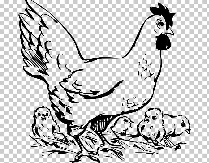 Silkie Cochin Chicken Broiler Chicken Meat PNG, Clipart, Animal Figure, Art, Artwork, Beak, Bird Free PNG Download