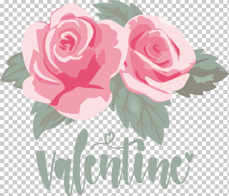Valentines Day Valentine Love PNG, Clipart, Cabbage Rose, Cut Flowers, Floral Design, Floribunda, Flower Free PNG Download