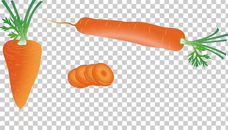 Carrot Vegetable PNG, Clipart, Baby Carrot, Bunch Of Carrots, Carrot Cartoon, Carrot Juice, Carrots Free PNG Download