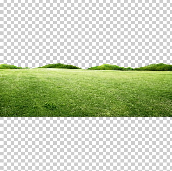 Fresh Spring Green Grass Hill PNG, Clipart, Angle, Computer Wallpaper, Download, Encapsulated Postscript, Fresh Free PNG Download