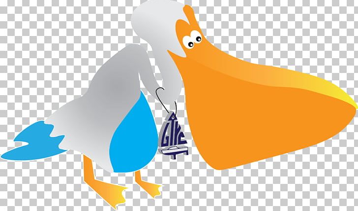 Geelong Trailable Yacht Club Yacht Racing PNG, Clipart, Beak, Bird, Chicken, City Of Geelong, Computer Free PNG Download