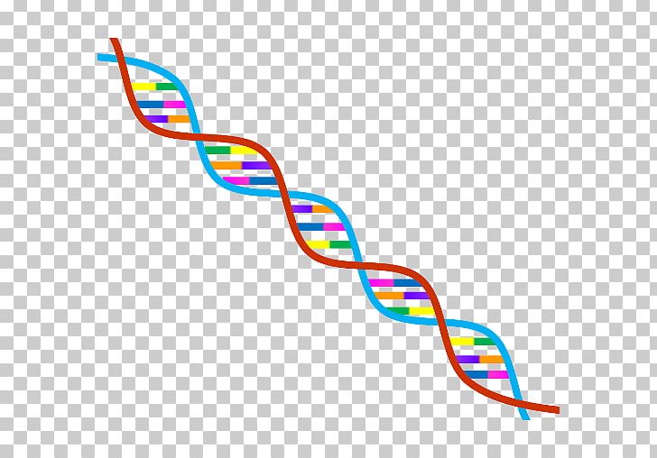 Genealogical DNA Test Genetics DNA Profiling Genetic Testing PNG, Clipart, Area, Biology, Cloning, Dna, Dna Paternity Testing Free PNG Download