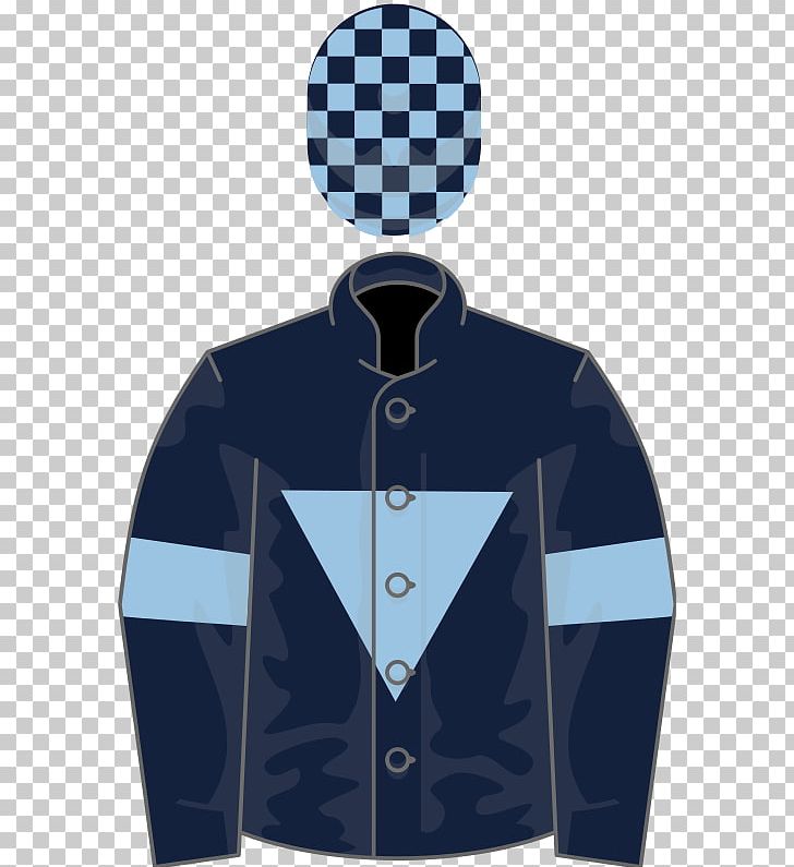 Thoroughbred 2017 Melbourne Cup Phoenix Wright: Ace Attorney PNG, Clipart, 2017 Melbourne Cup, Ace Attorney, Armlet, Belmont Park, Blue Free PNG Download