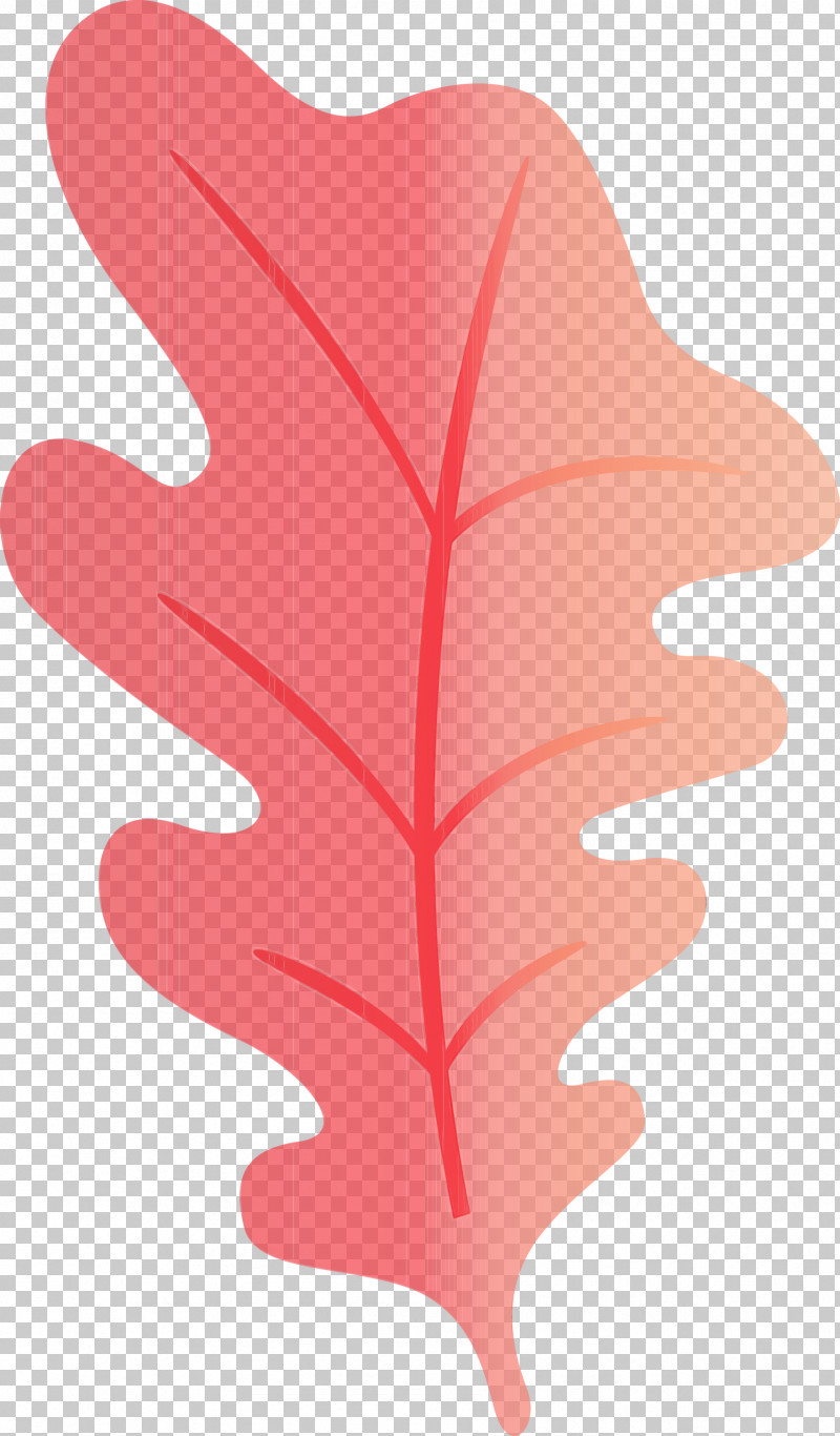 Leaf Flower Angle Line Tree PNG, Clipart, Angle, Biology, Flower, Geometry, Leaf Free PNG Download