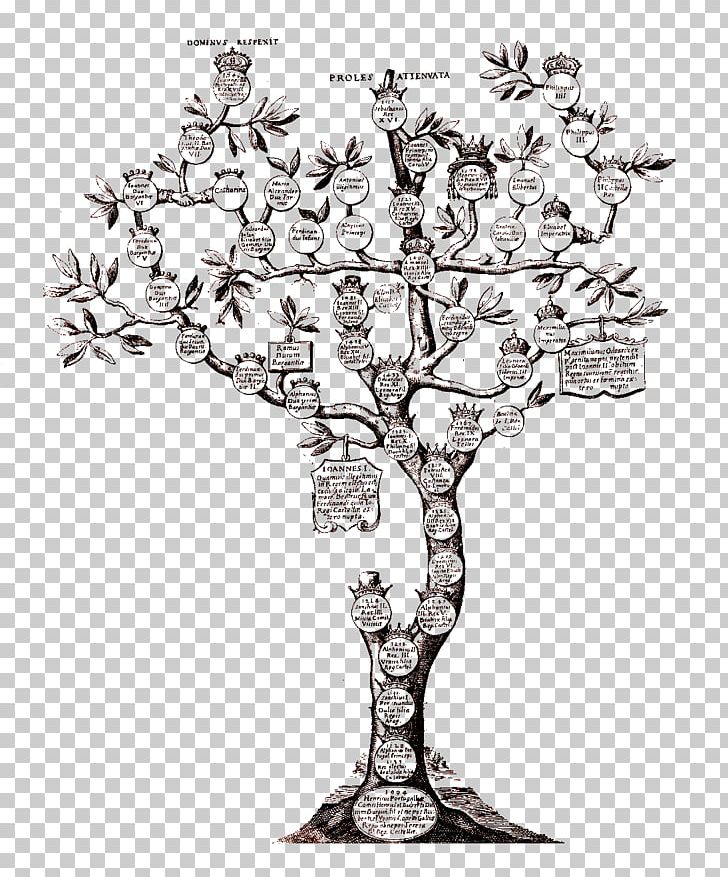 Genealogy Family Tree Individual Chronology PNG, Clipart, Black And White, Branch, Candle, Candle Holder, Candlestick Free PNG Download