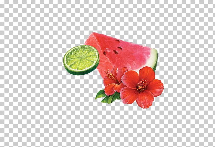 Tea Watermelon Drawing PNG, Clipart, Apple, Citrullus, Cranberry, Drawing, Flower Free PNG Download