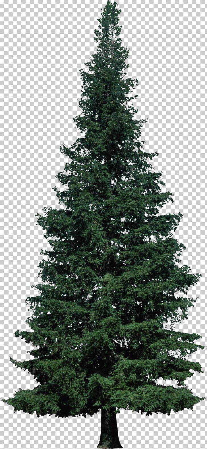 Artificial Christmas Tree Balsam Hill PNG, Clipart, Aluminum Christmas Tree, Artificial Christmas Tree, Balsam Hill, Biome, Bush Free PNG Download
