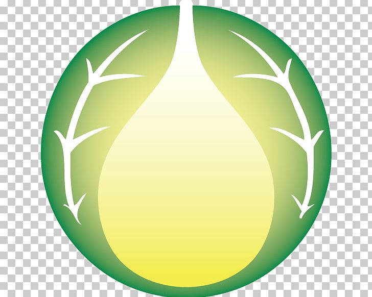 Circle Oval Sphere Green PNG, Clipart, Circle, Education Science, Fruit, Green, Leaf Free PNG Download