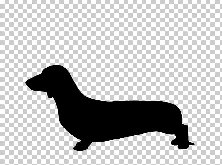 Dachshund Puppy Labrador Retriever Dog Breed Hot Dog PNG, Clipart, Animals, Black, Black And White, Carnivoran, Cartoon Free PNG Download