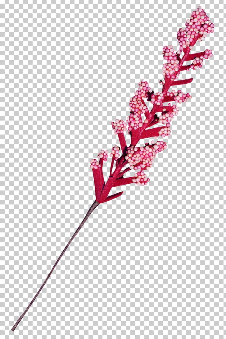 Flower PNG, Clipart, Branch, Chai, Copyright, Download, Field Free PNG Download