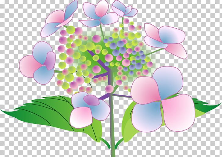 French Hydrangea Hondo-ji Temple Flower アジサイ寺 East Asian Rainy Season PNG, Clipart, Blossom, Branch, Computer Wallpaper, East Asian Rainy Season, Flora Free PNG Download