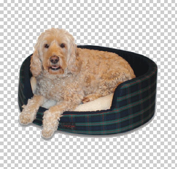 Goldendoodle Cockapoo English Cocker Spaniel Dog Breed PNG, Clipart, Animals, Bed, Coat, Cockapoo, Cocker Spaniel Free PNG Download