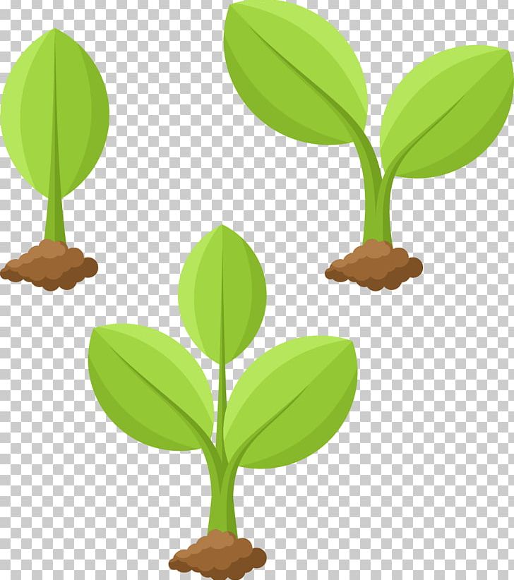 Plant Cartoon Illustration PNG, Clipart, Bud, Cul, Drawing, Euclidean Vector, Flower Free PNG Download