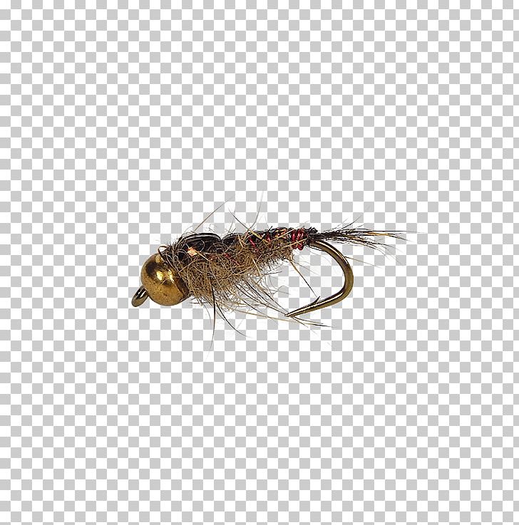 Artificial Fly Fly Fishing Nymph Pupa PNG, Clipart, Artificial Fly, Caddisfly, Fishing, Fishing Bait, Fly Free PNG Download