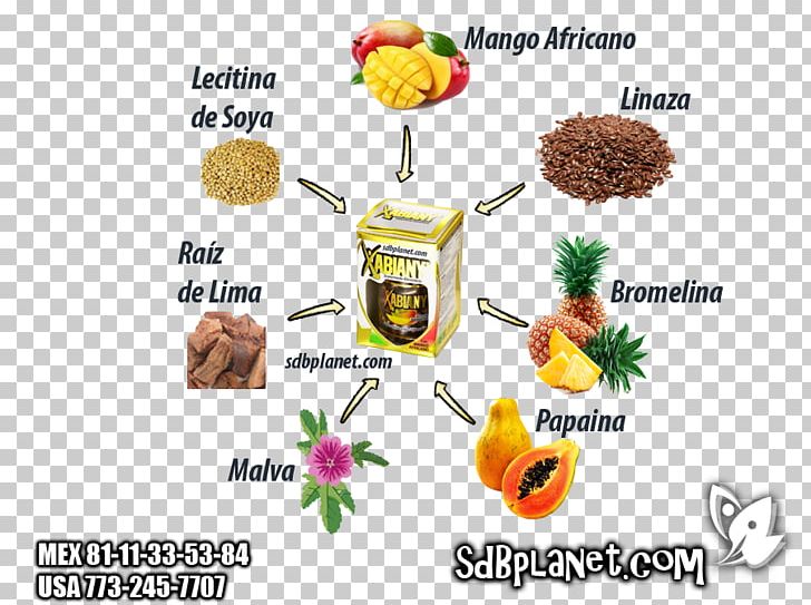 Dietary Supplement Vegetarian Cuisine Capsule Food Fat PNG, Clipart, Body, Capsule, Detoxification, Dietary Supplement, Energy Free PNG Download