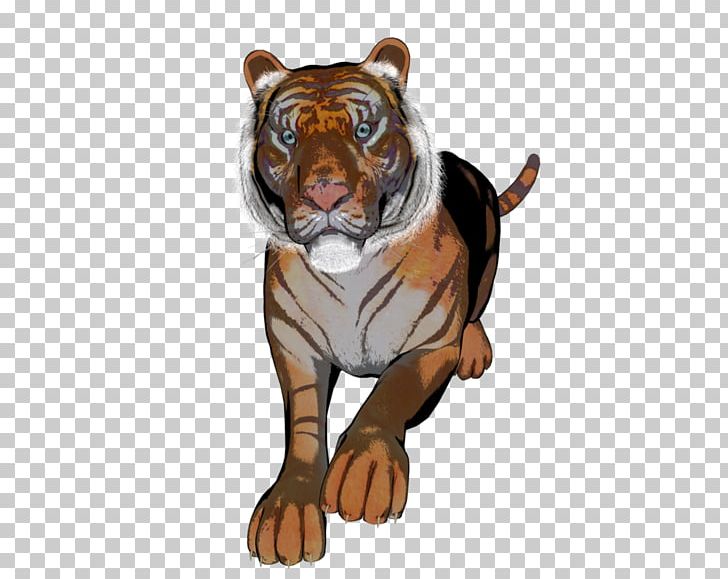 Tiger Lion Dog Canidae PNG, Clipart, Animal, Animals, Big Cats, Canidae, Carnivoran Free PNG Download