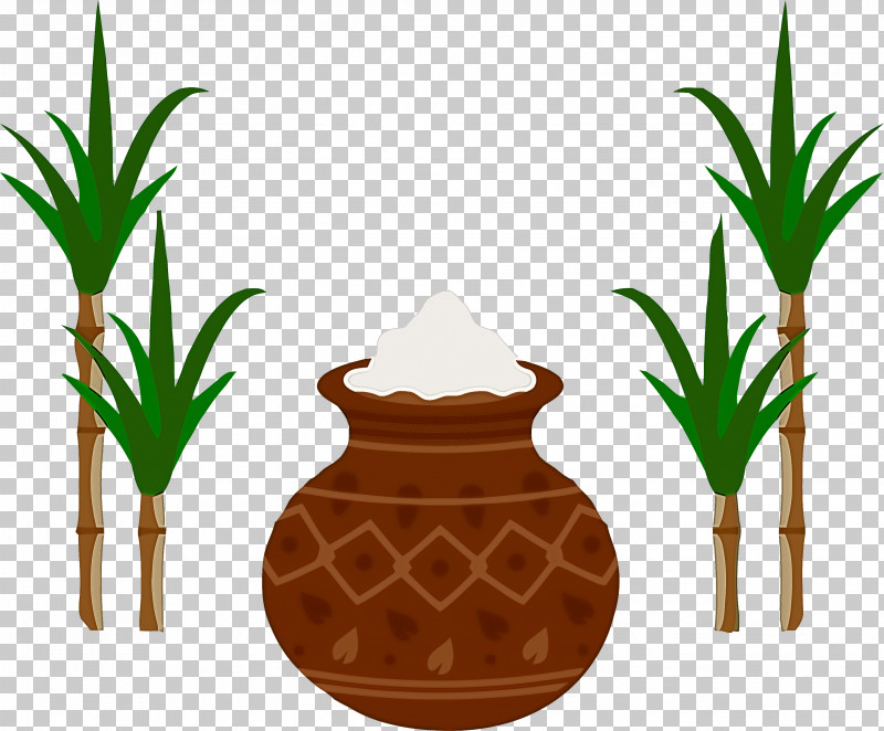 Pongal PNG, Clipart, Flowerpot, Houseplant, Palm Trees, Plants, Pongal Free PNG Download