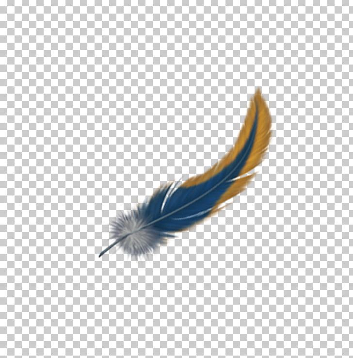 Feather Bird Hair Euclidean PNG, Clipart, Animals, Bird, Black Hair, Blue, Body Hair Free PNG Download