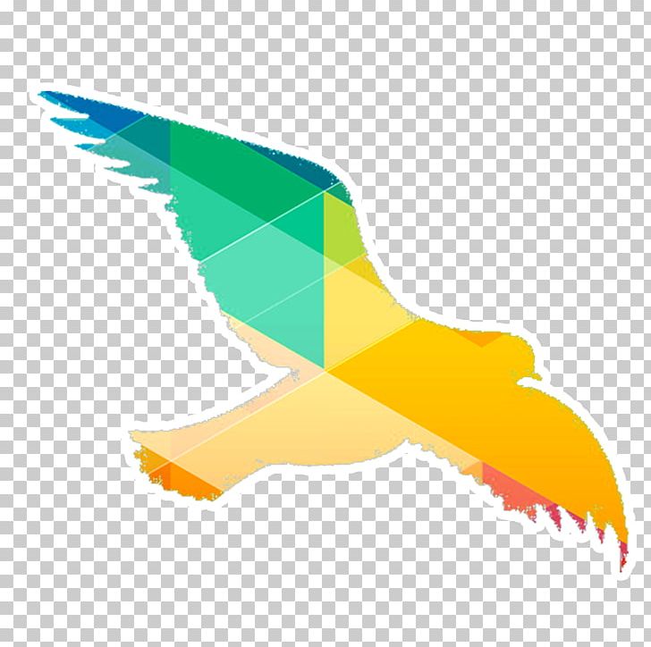 Bird PNG, Clipart, Angle, Animals, Beak, Color, Color Pencil Free PNG Download