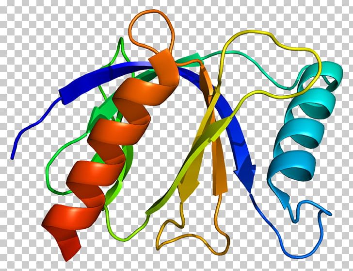 Epidermal Growth Factor Receptor EPS8L1 Protein PNG, Clipart, Area, Artwork, Attribution, Enzyme, Epidermal Growth Factor Free PNG Download