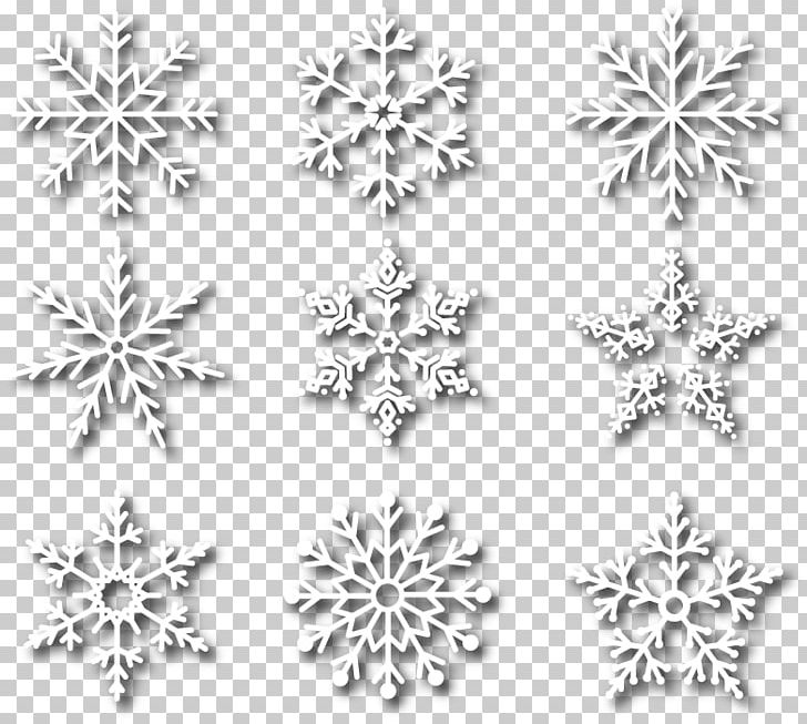 Euclidean Flower PNG, Clipart, Black And White, Body Jewelry, Christmas, Computer Icons, Design Free PNG Download