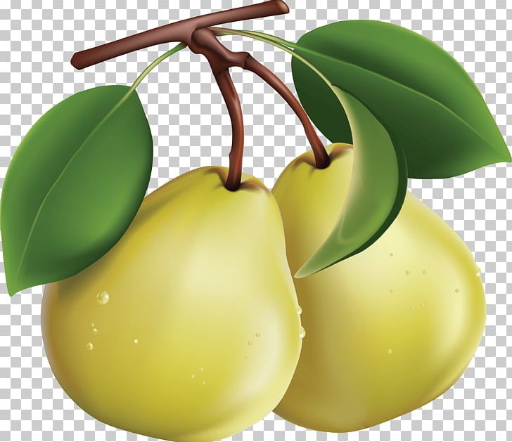 Fruit Bosc Pear PNG, Clipart, Apple, Asian Pear, Bosc Pear, Desktop Wallpaper, Encapsulated Postscript Free PNG Download