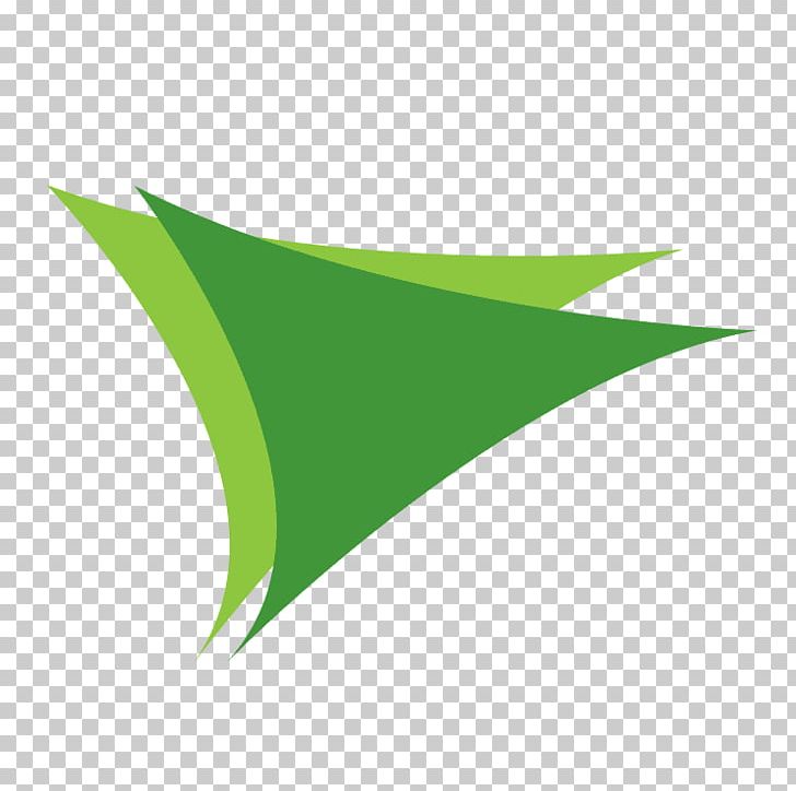 Green Line Leaf PNG, Clipart, Angle, Art, Grass, Green, Leaf Free PNG Download